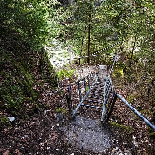 Doubs(17) 20180713_120140