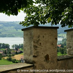 CH-6284 Gelfingen Schloss Heidegg 1_2010 08 11_8765