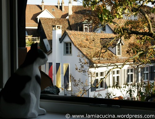 Aus dem Küchenfenster 2009 10 13_3039