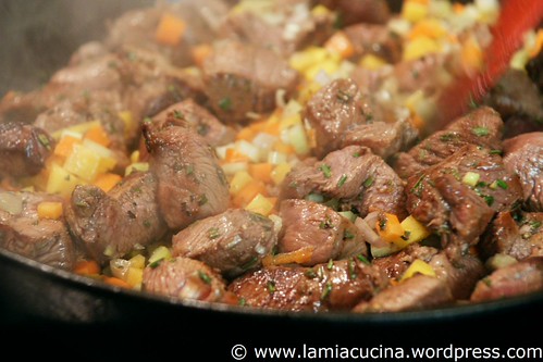 Frischlingsragout 2_2011 01 22_1817