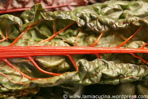 Mangold Tarte 0_2011 01 07_1359