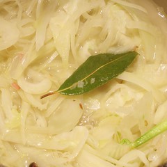 Fenchel am Dünsten