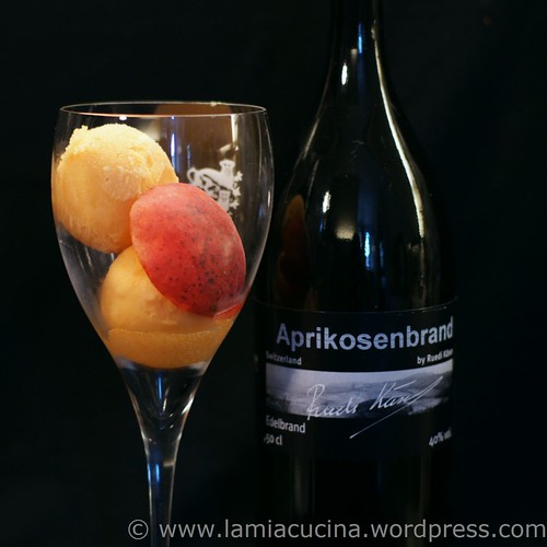 Aprikosensorbet 0_2011 07 02_4769
