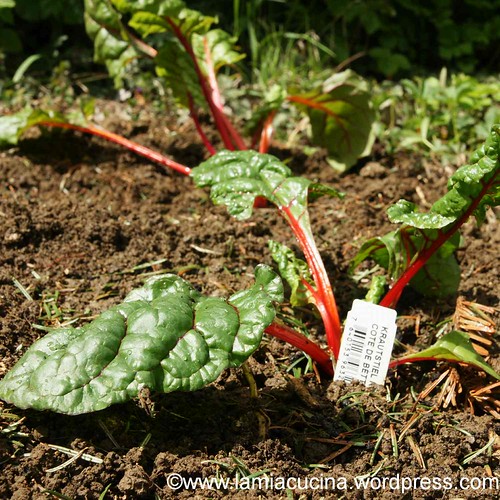 Obdachlosensuppe 4_2012 05 04_4596